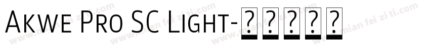 Akwe Pro SC Light字体转换